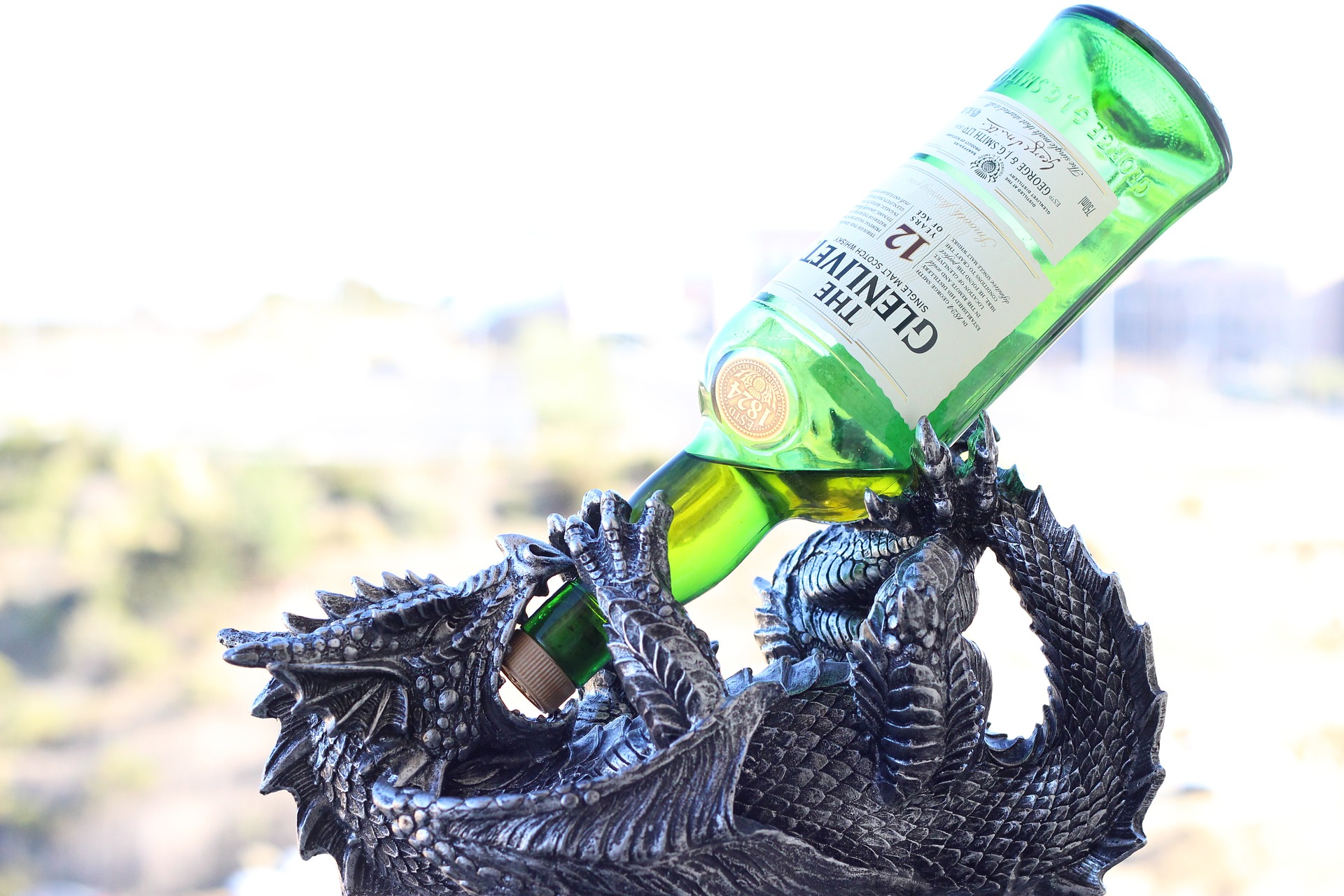 El dragón errante que usted vio