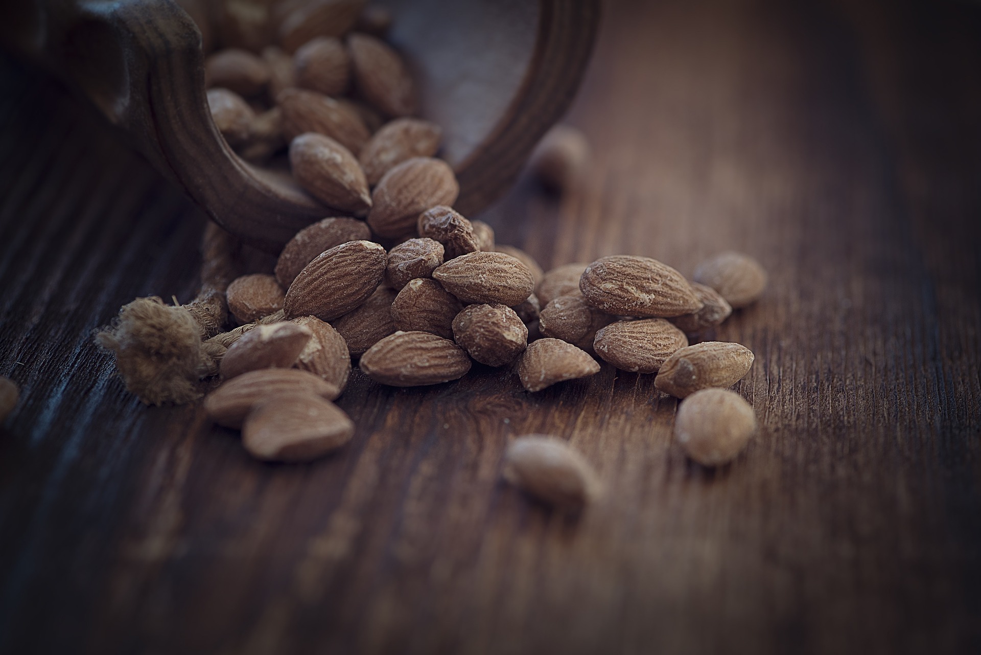 El Secreto de las Almendras y el Ébano