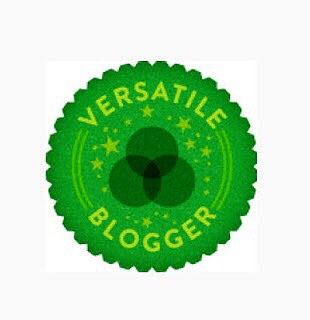 messieral.com Nominado a Versatile Blogger Award&nbsp;VII