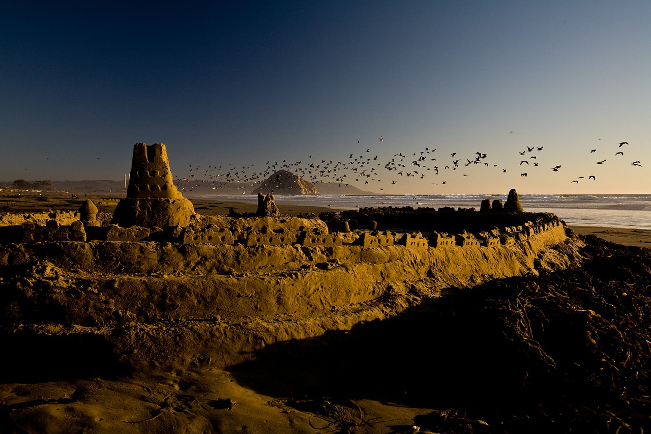 El Concierto de las Aves