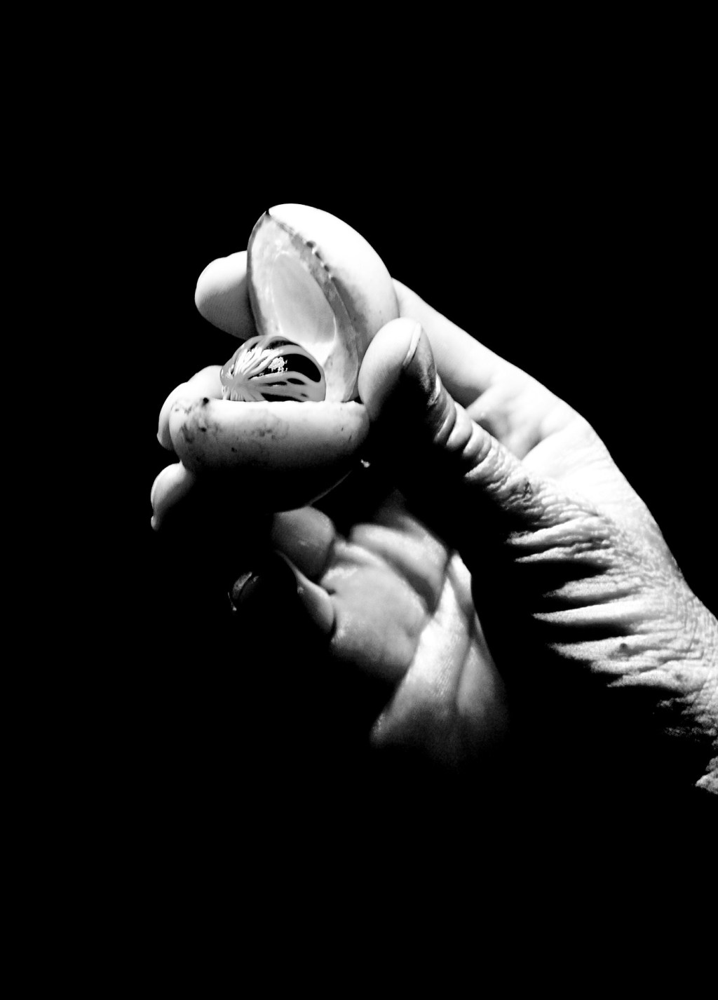 Mi Letra Entre tus&nbsp;Manos