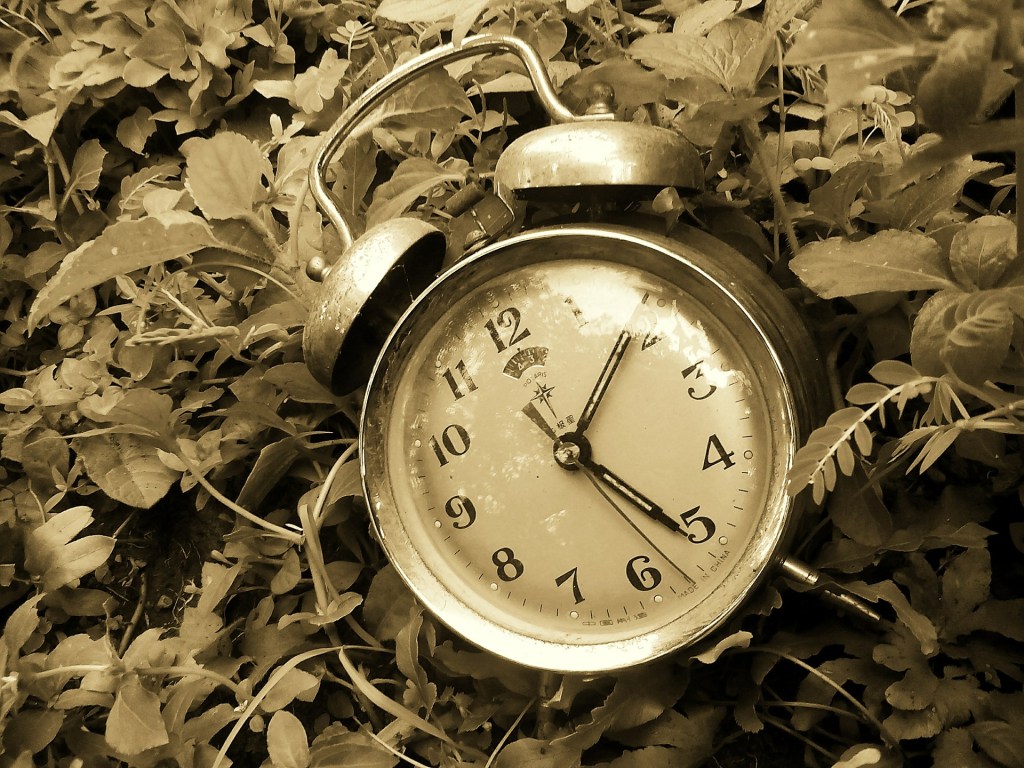 Todo el Tiempo del&nbsp;Mundo