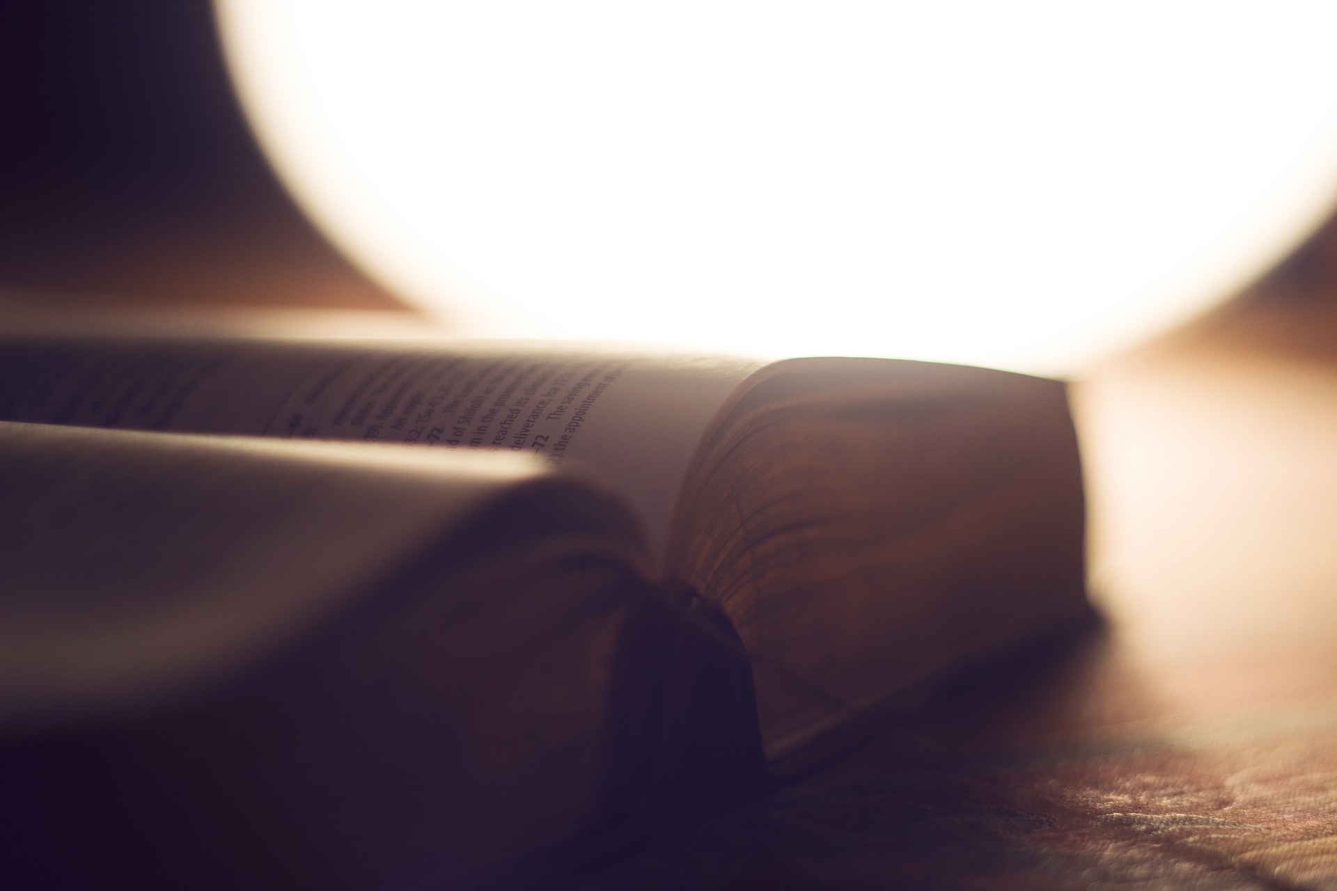 Seamos Luz