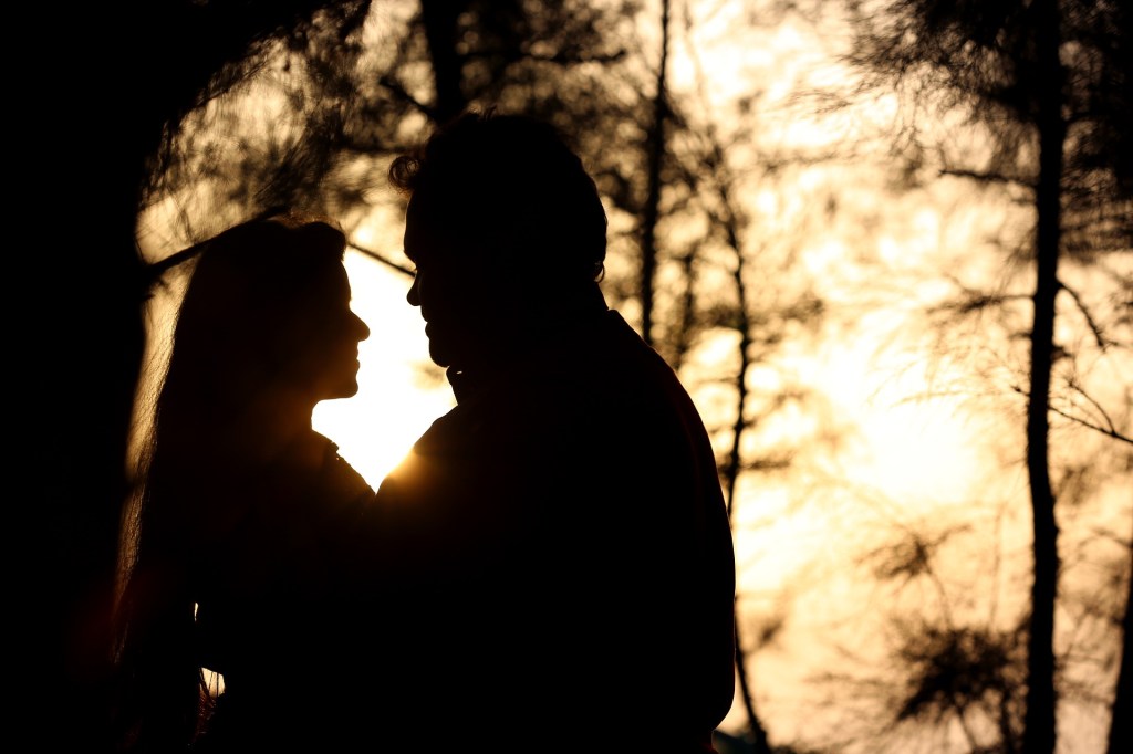 No Haberte Dejado de Querer