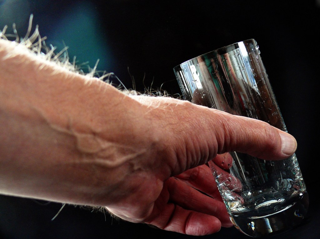 Dentro de un Vaso con&nbsp;Agua