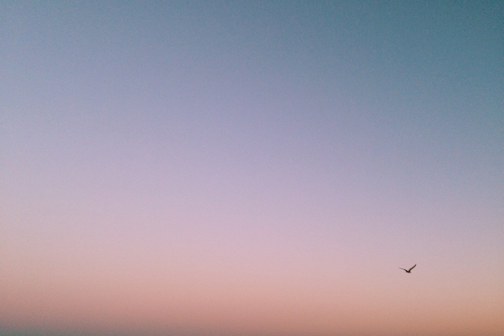 La Diferencia Entre&nbsp;Nosotros