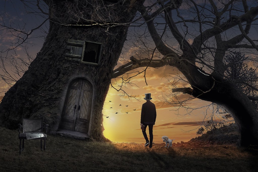 Mi Gusto y&nbsp;Forma