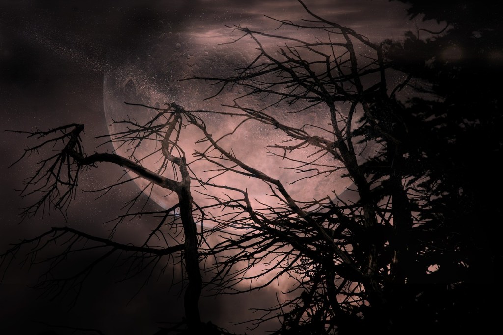 El Frío de&nbsp;Luna