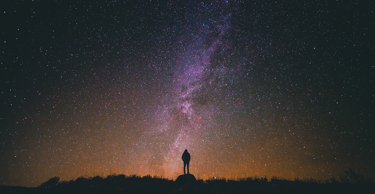 Bajo las Estrellas