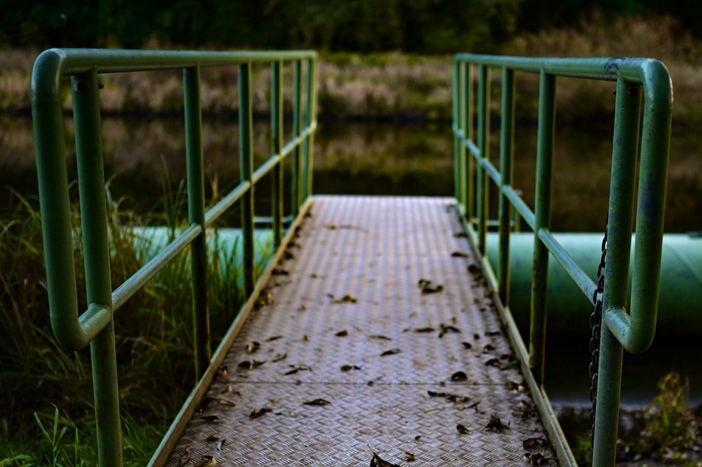 En la Raíz de las Noches del&nbsp;Amor