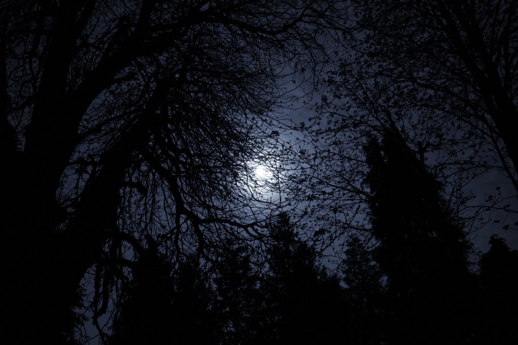 Desvelos, Centellas, Minotauros, Anhelos, Romanzas y&nbsp;Venenos…