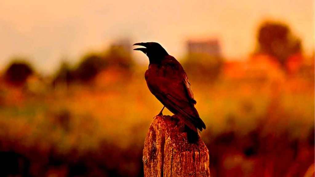 A Tan Preciado Ningún&nbsp;Lugar