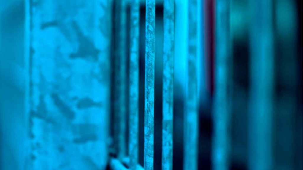 Piedad (Cielo Verdugo)