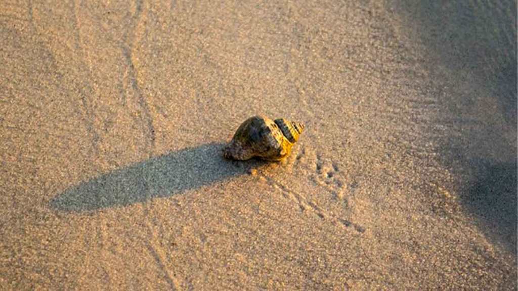 Quería Ser Ermitaño