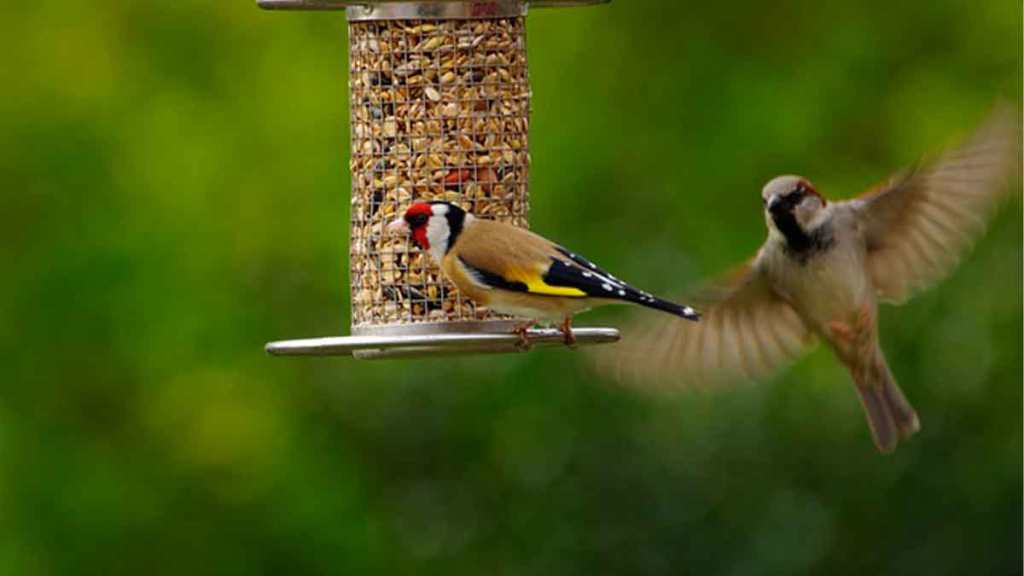 No Tengo la&nbsp;Verdad