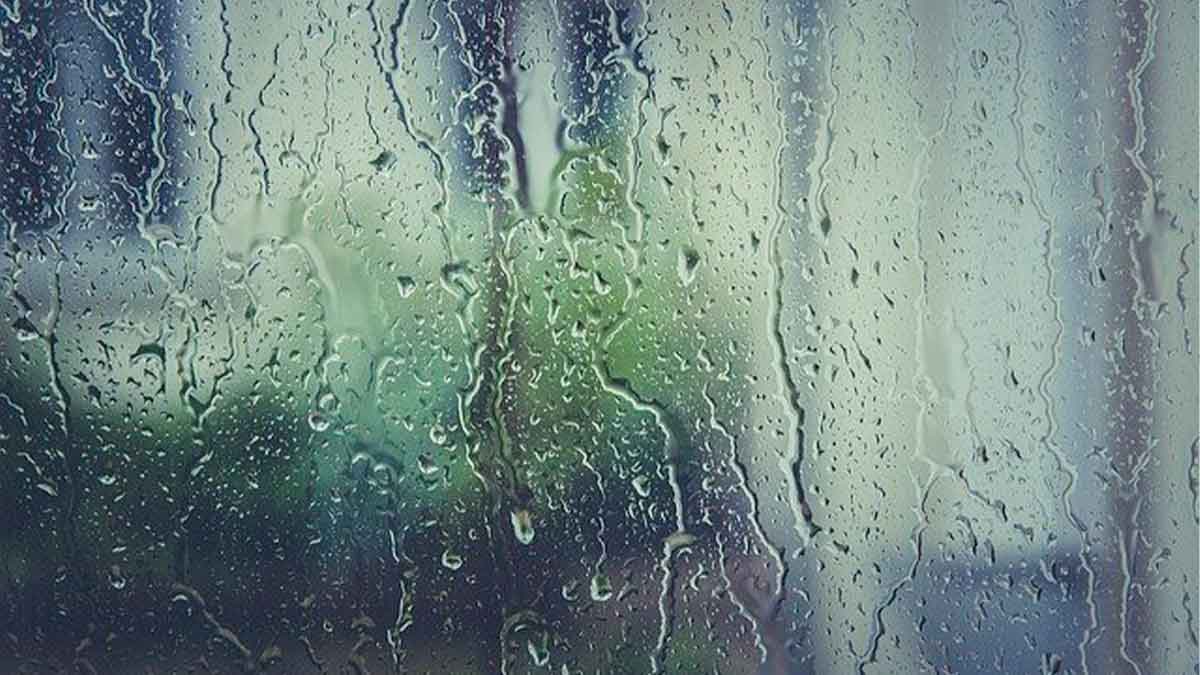 A Través del Cristal