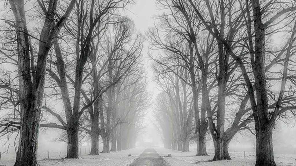 Frente a mí el&nbsp;Vacío