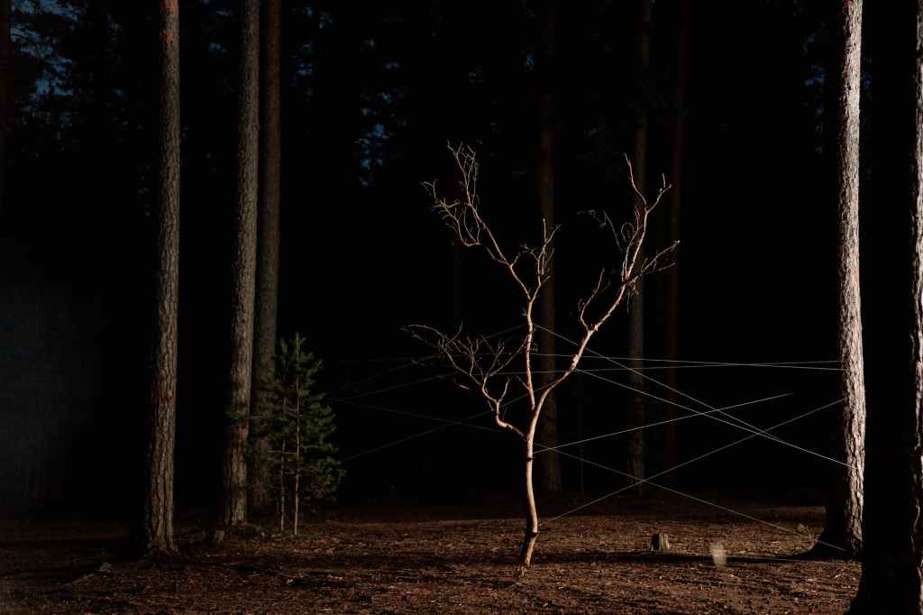 Nada Tendría Sentido