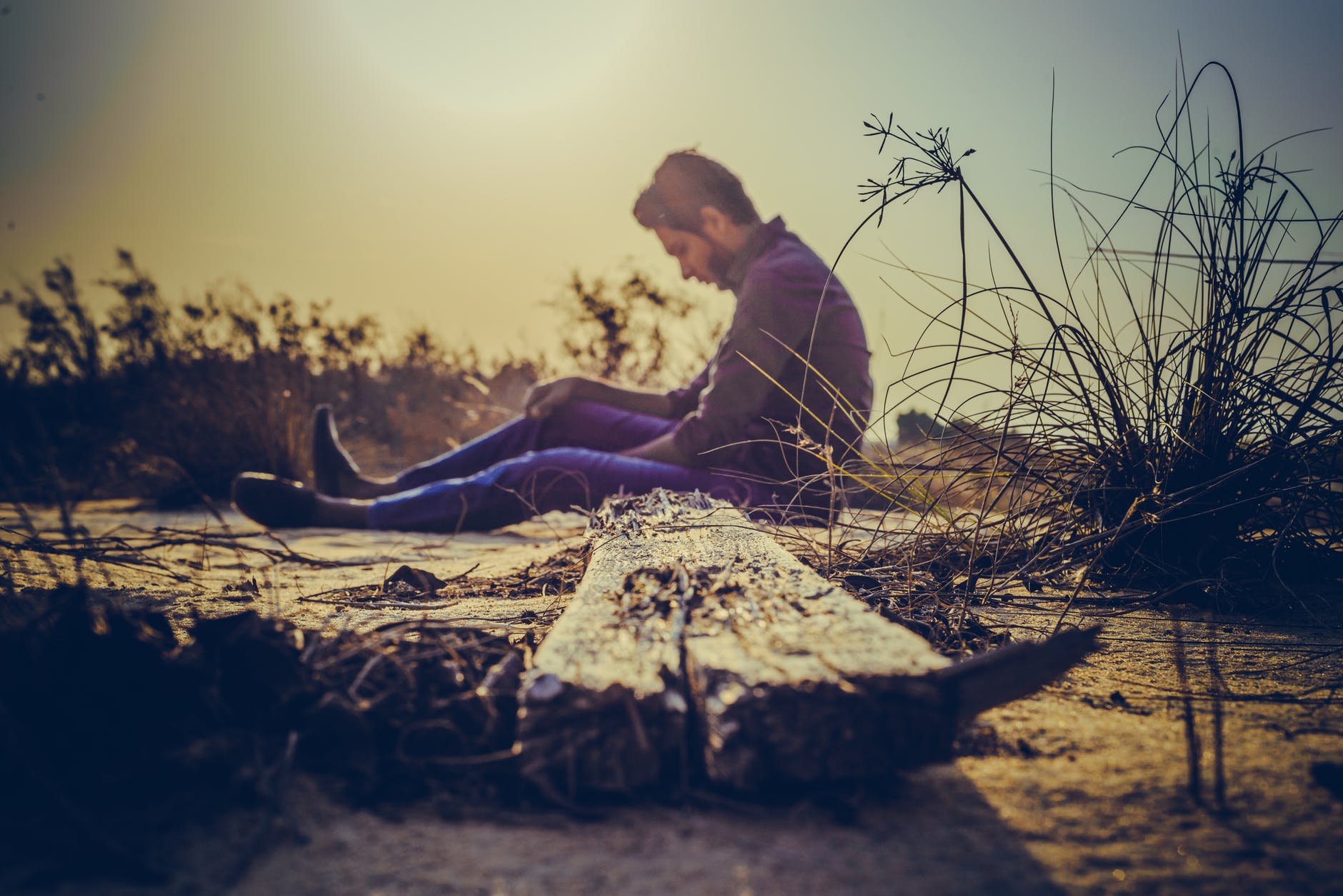 Vida, Camino, Historia