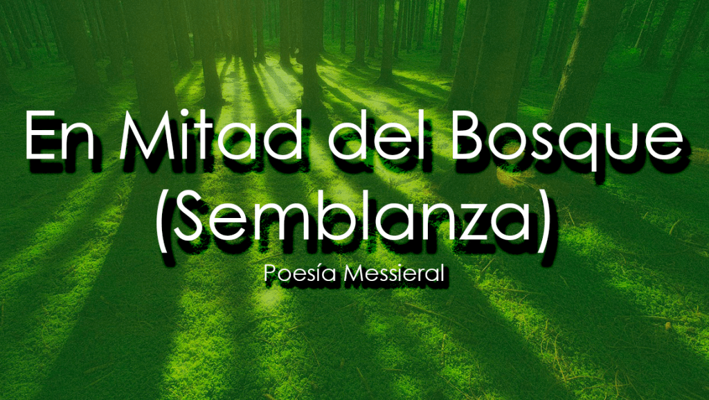 En Mitad del Bosque&nbsp;(Semblanza)
