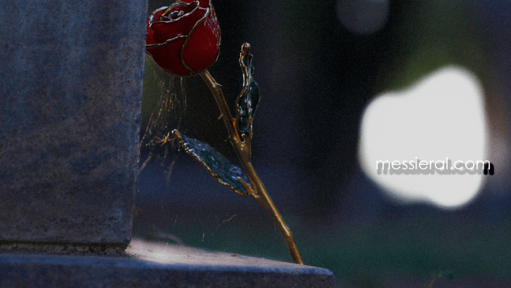 Quiero Quedarme Sin&nbsp;Ti