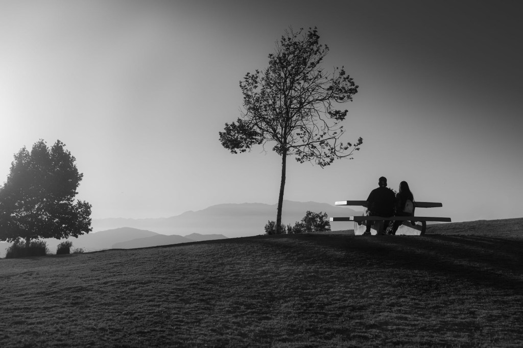 Media Vida de&nbsp;Amor